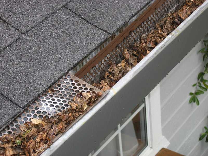 Gutter Garden